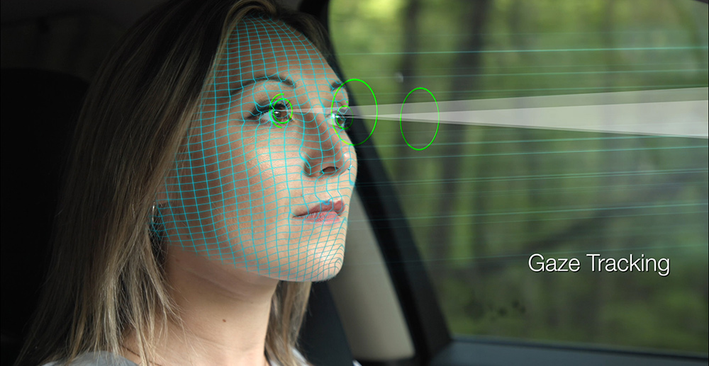 A person driving a vehicle. The driver monitoring system tracking their gaze.